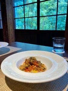 Takeru Quindici LOQUAT 西伊豆