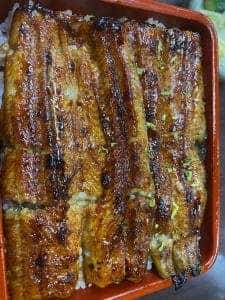 志乃ざき