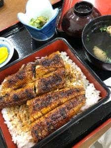 うなぎの幸栄わさだ店