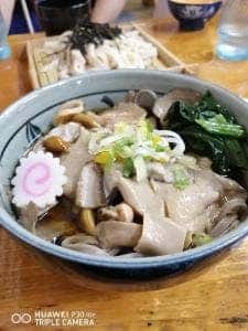 根っこ食堂