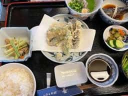 いわし料理・善