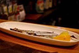 糀素弓