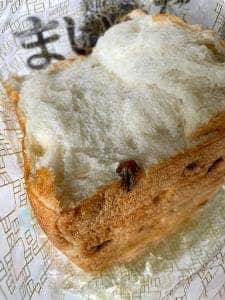 高級食パン専門店 うん間違いないっ! 中野坂上店