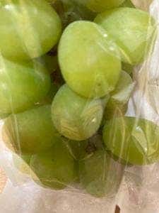 ぶどう狩り 盤峰園