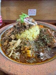 ニューコウジヤ