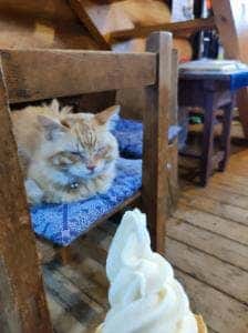 蔵王マウンテンファーム・山川牧場