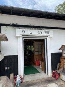 かしの樹