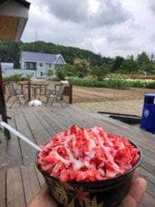 ONE_S FRUITS FARM