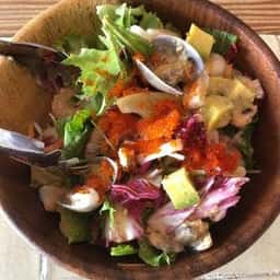 DOG DEPT +CAFE 浅草 隅田川テラス店