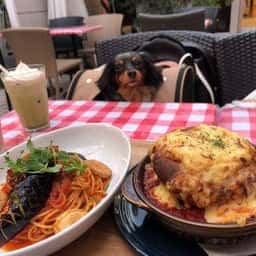 サクラカフェ＆レストラン日暮里