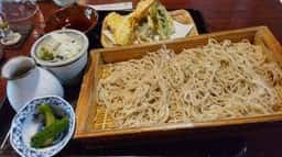 奔歩狐狸