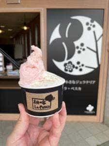 丘の上の小さなジェラテリア ラ・ペスカ