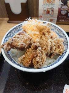 吉野家 岐阜則武店