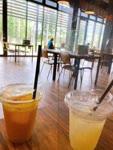 レインフォレストカフェ 青島屋店