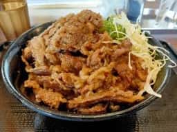 韓丼 エルエルタウン岡崎店