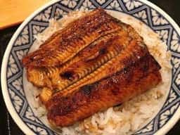 うな政 藤枝店