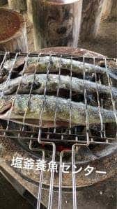 塩釜養魚センター