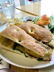 DOG DEPT GARDEN 佐野店