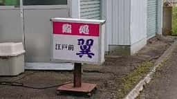 翼