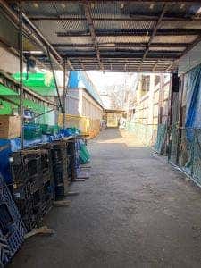 SEAFOOD MARKET