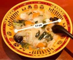 中国料理 新農村