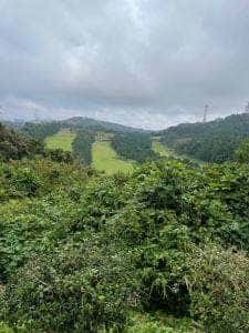 ラ・メール 葉山国際カンツリー倶楽部 レストラン