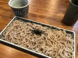 観