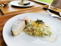 The Kitchen Helthian-wood