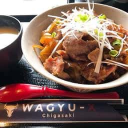 WAGYU-X
