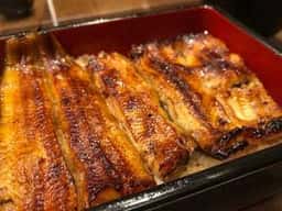 新宿 うなぎ菊川