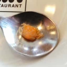 ココス 瀬田川店