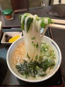 つるやうどん本店