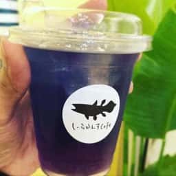 しーらかんすCafe