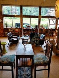 莚CACAO CLUB