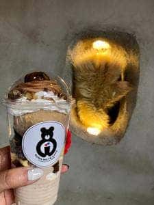 クマの手カフェ