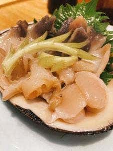 藤半