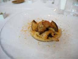 サーラ アマービレ