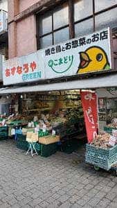 こまどり