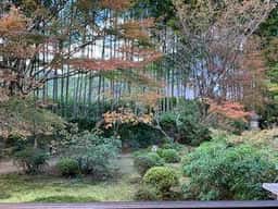 宝泉院