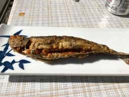 高水山源流の釣り堀 古民家