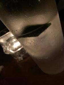 ベンフィディック