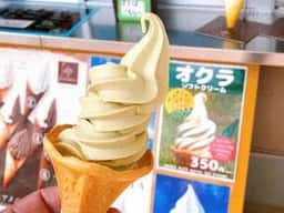 小牧茶屋 道の駅いぶすき 彩花菜館