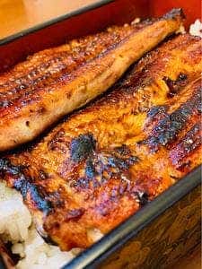 炭火焼鰻 小暮や