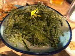 沖縄の台所ぱいかじ デイゴ別邸