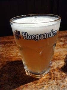 シャムロック バイ アボット チョイス