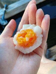 黄金屋物産店