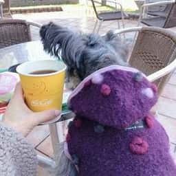 マクドナルド 新所沢店