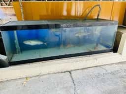 すし へんこつ屋