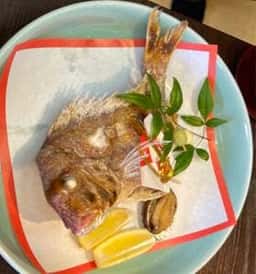 和の彩り たぬき亭
