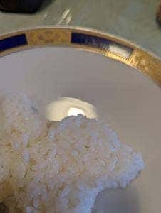 セーナーニレストラン